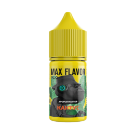 Ароматизатор VLIQ MAX Flavor Кактус, 15 мл