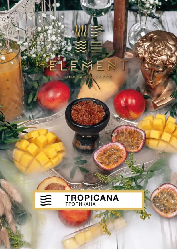 Табак для кальяна Element Вода Tropicana , 25 гр фото 1