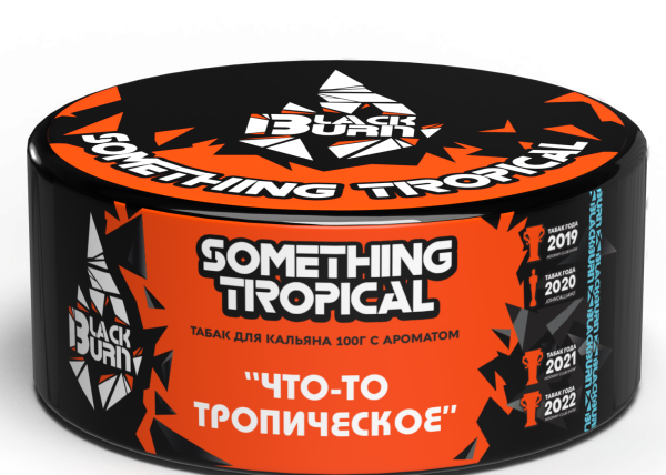 Табак д/кальяна Black Burn вкус Something Tropical,100 гр фото 1